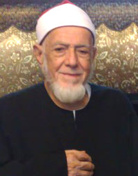 أحمد محمد عامر