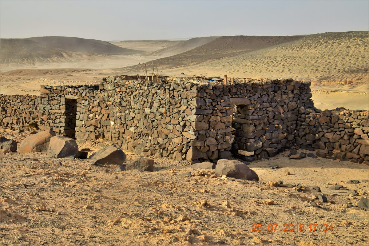 جمال الصعيدي